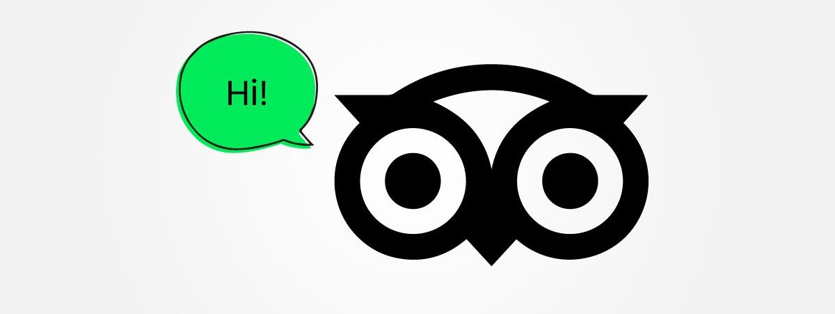 Ollie-Tripadvisor-Mascot